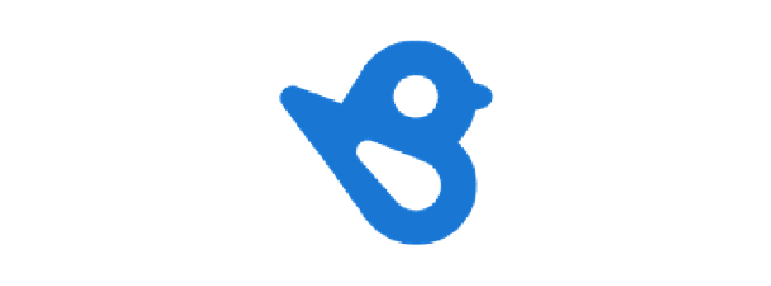 Birdeye Logo Sized 2