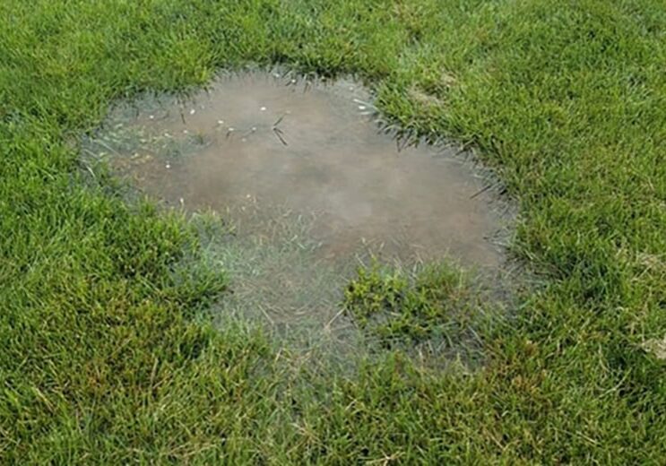 39l Yard Underground Main Water Line Leak Meter Detection All-Pro Plumbing Kokomo IN Water pooling in yard from underground water line leak in Kokomo Indiana home