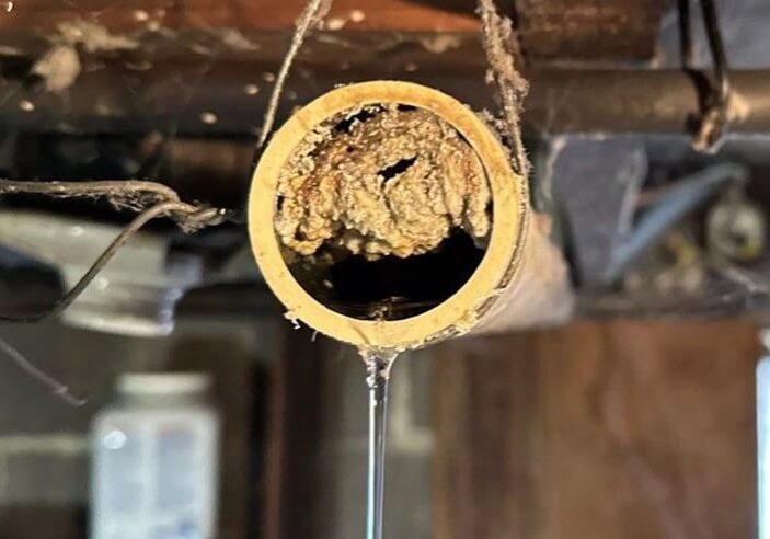 60 Basement Old Clogged Kitchen Sink Drain Grease Stoppage Enzyme Treatment h Close-up of an old, severely grease-clogged basement kitchen sink drain pipe with water dripping, indicating a major stoppage requiring enzyme treatment or clearing by All-Pro Plumbing in Kokomo, IN